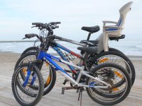 1443514680-vele-saintois-homer03