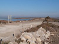 1443514727-vele-saintois-homer17