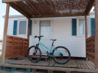 1443514734-vele-saintois-homer10