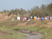 1443514786-vele-saintois-homer13
