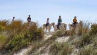 62e0ec9859c7d-famille-dune