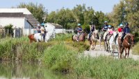 62e0eeab64ddd-groupe-cabanes-lolita