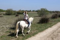 5965f6706342e-marais-vigueirat-cheval-01