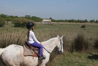 5965f6708b00e-marais-vigueirat-cheval-02