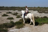5965f67c1148c-marais-vigueirat-cheval-03