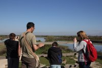 5965fae4a2247-marais-vigueirat-visite-04