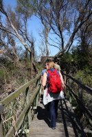 5965fae4c5155-marais-vigueirat-visite-07