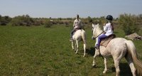 5966063bac546-marais-vigueirat-header-chevaux-02