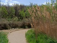 630cc4fd9510a-jardin-ethnobotanique-marais-du-vigueiratccmeffre