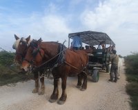 635a308779530-calechecjohanna-de-sousa