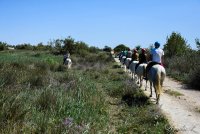 63b694bd17cef-balade-a-cheval-septembrecnath