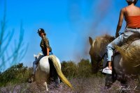 662a23bea25ed-balade-a-cheval-amvameliel-4