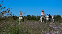 662a23de66908-balade-a-cheval-amvameliel-26