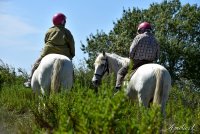 662a23f3880b2-balade-a-cheval-amvameliel-17