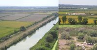 1395057906-riz-canavere-environement02