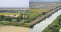 1395059240-riz-canavere-chiffre01