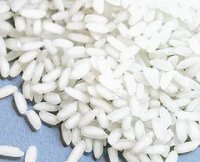 riz02