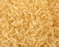 riz04