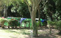 140835593453f1ce5e8e847chicanette-home-02
