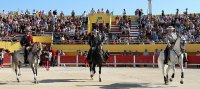 1399299450-arenes-saintes-presentation01