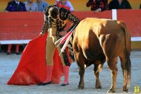 1399299569-arenes-saintes-presentation02