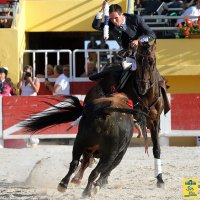 1399299682-arenes-saintes-presentation03