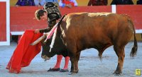 1399300380-arenes-saintes-galerie01
