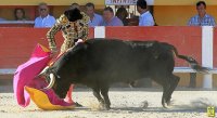 1399300402-arenes-saintes-galerie03