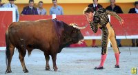 1399300413-arenes-saintes-galerie04