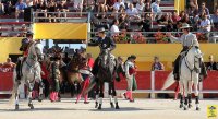 1399300427-arenes-saintes-galerie05