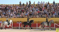 1399300441-arenes-saintes-galerie06