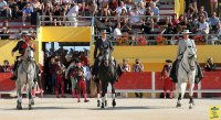 1399300988-arenes-saintes-galerie09