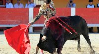 1399301011-arenes-saintes-galerie11