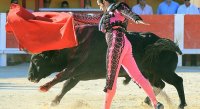 1399301048-arenes-saintes-galerie14