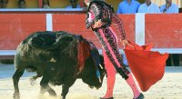 1399301059-arenes-saintes-galerie15