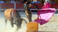 1399301070-arenes-saintes-galerie16