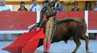 1399301099-arenes-saintes-galerie18