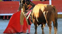 1399301117-arenes-saintes-galerie19