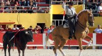 1399301512-arenes-saintes-galerie21
