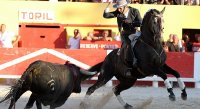 1399301563-arenes-saintes-galerie25