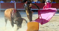 1399362812-arenes-saintes-slider02