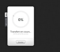 139154151052f13d06d100dtransfert-fichiers-07