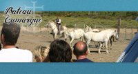 1391105623-bateau-camargue-slider-02