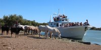 139110740352ea9d4bc01fabateau