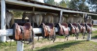 1476889513-mas-sylvereal-activites-loisirs-01