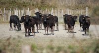 1390582557-slider-decouverte-01