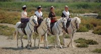 1390582565-slider-decouverte-03