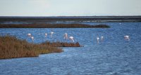 1390582570-slider-decouverte-04
