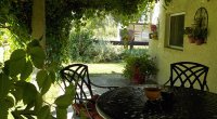 66d81e8fae281-cheval-terrasse-vigne