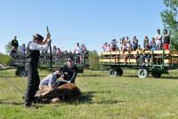 58c29d053eae2-viste-chariots-900x600